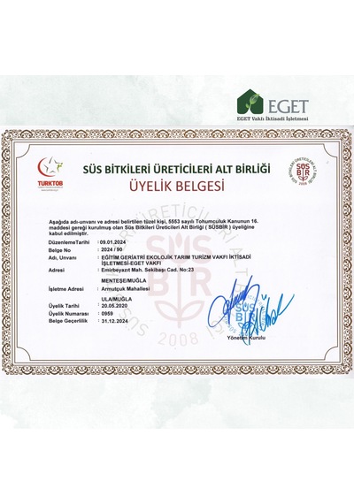 Kalp Kalbe Karşı Çiçeği Ceropegia Woodii - Turuncu Saksılı