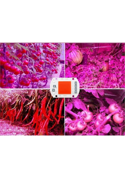 Grow Cob Led 220v 50w Full Spectrum Bitki Yetiştirme Ledi