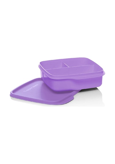 Tupperware Bölmeli Beslenme Kutusu Kare 550ml Sorbe Lila