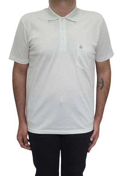 Santa Dmctekstil Erkek Kendinden Desenli Klasik Rahat Kalıp Tek Cepli Polo Yakalı T-shirt Yeşil Santa Dmctekstil Erkek Kendinden Desenli Klasik Rahat Kalıp Tek Cepli Polo Yakalı T-shirt Yeşil