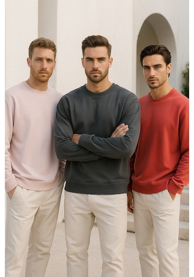 Rich Erkek 3'lü Paket Antrasit- Pudra- Nar Çiçeği Bisiklet Yaka Scuba Sweatshirt Antrasit