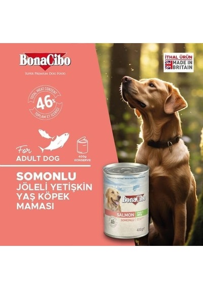 Jöleli Somonlu Yaş Yetişkin Köpek Maması 6 X 400 Gr