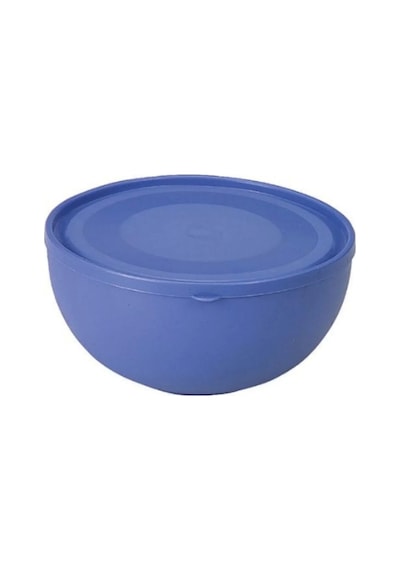 Üçsan 299 Kapaklı Saklama Kabı 32x15 Cm