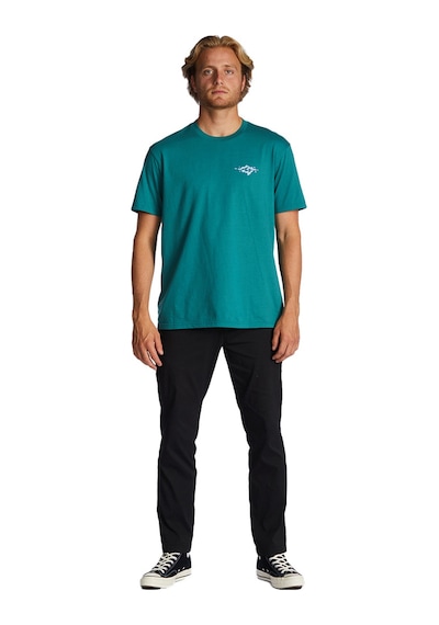 Billabong Bıllabong Bıllabong Tall Tale Ss Erkek T-shırt Dmı Mint
