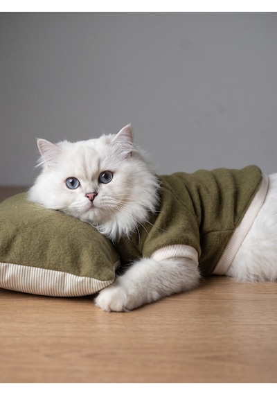 Natura Cozy Pati & Yastık Nefti Yeşil Polar Kedi Sweatshirt Ve Mini Yastık 2 Parça