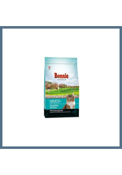 Buradabulabilirsin Kedi Maması Somonlu 500gr 1 Adet Bbz
