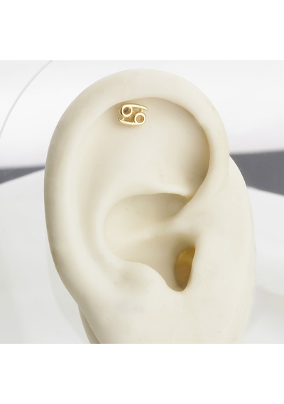 Glorria Altın Yengeç Burcu Helix Piercing Altın