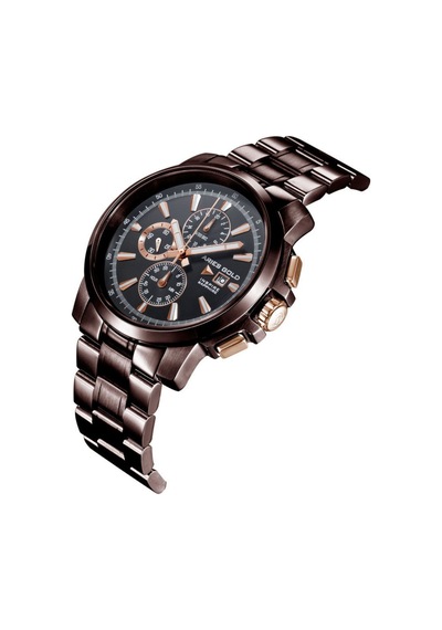 Arıes Gold G 7301 Cf-bkrg Erkek Kol Saati Füme