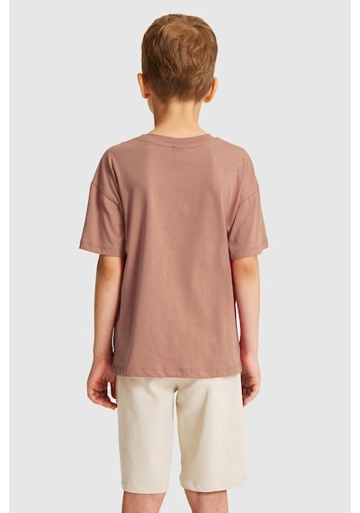 U.s. Polo Assn. Erkek Çocuk Pudra Tişört 50327009-vr042