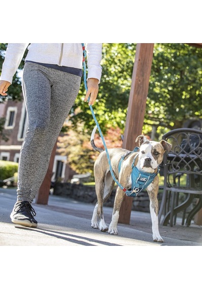 Köpek Koşum Takımı Evcil Hayvan Yürüyüş Koşumu No Pull Harness Ön Klips Fonksiyonu Antrenman İçin Dahil