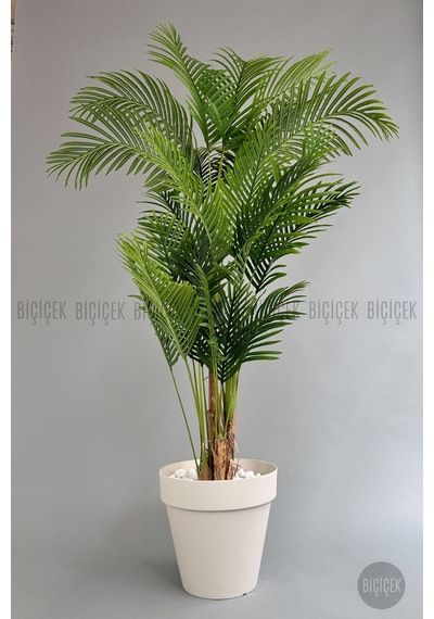 Biçiçek Yapay Areka Ağaci 220 Cm 4 Gövdeli̇ Krem Yali Saksıda
