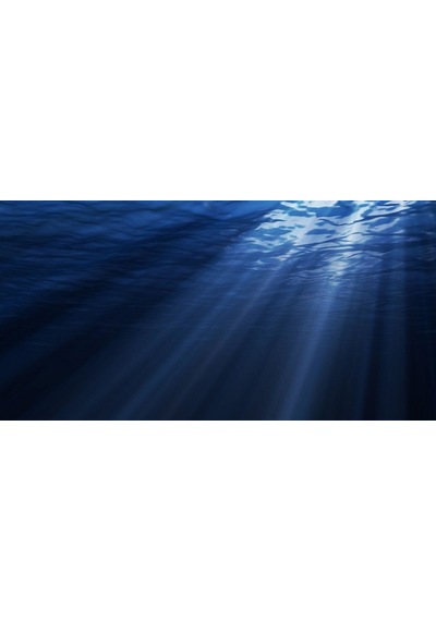 Kanki Pet 125 cm KP1256307 Akvaryum Arka Fon Yapıştırma 125x63 cm