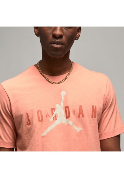 Nike Jordan Air Wordmark Erkek T-Shirt