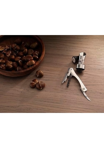 Sommelier Tirbuşon Seti, 2 Parça, Paslanmaz Çelik, Metalik Gri