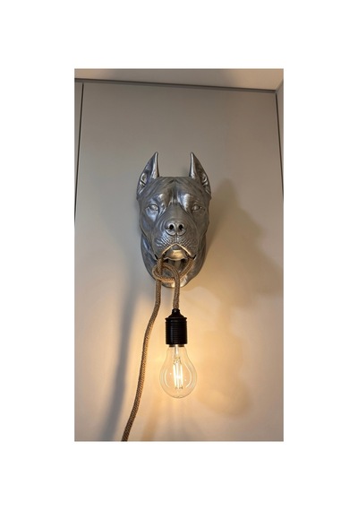 Pitbull Duvar Figürü Diğer