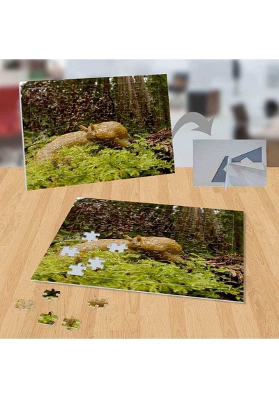 Yeşillikteki Salyangoz 99 Parça Puzzle Yapboz-p010