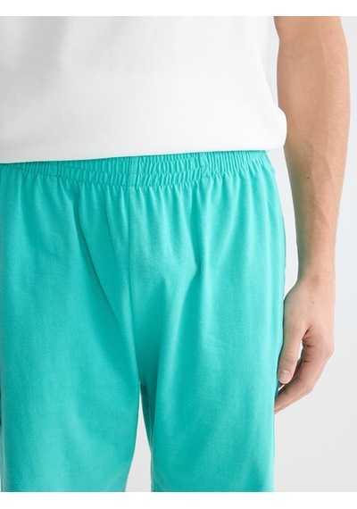 Lc Waikiki Lc Waıkıkı Yeşil Standart Kalıp Erkek Pijama Alt Şort