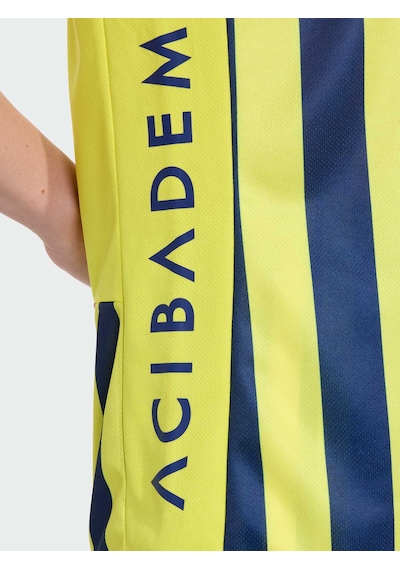 Fenerbahçe 2026/2027 Yeni Sezon Çubuklu Kadın Forma Lacıvert-sarı