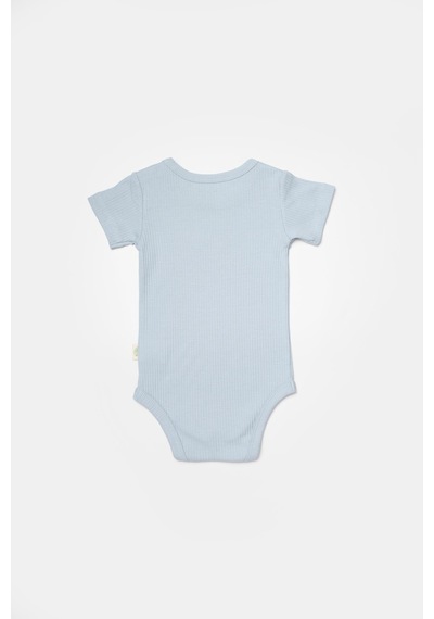 BabyCosy Organik 2 Li Kısa Kollu Body Csyb9017 001