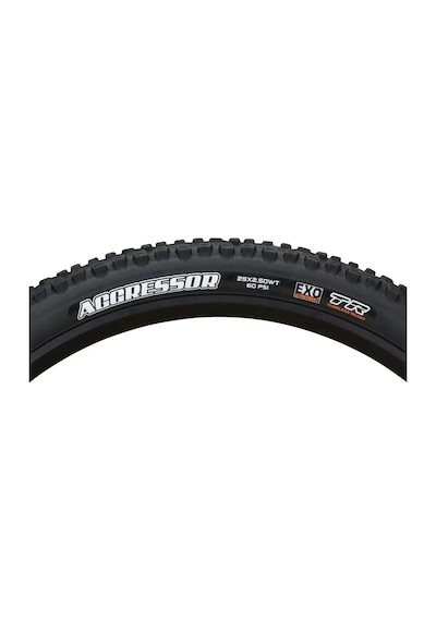 Maxxıs Aggressor 29x2.50 Exo Tubless Katlanır Katlanır Dış Lastik
