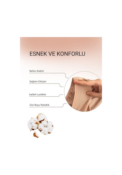 Alya Underwear  Kadın Pamuklu Hipster - Slip Külot 5 Farklı Renk 1 Pakette Ten