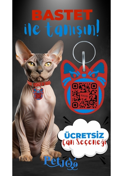 Petjoo 1.Bastet Mavi-Kırmızı Qr'lı Kedi Künyesi