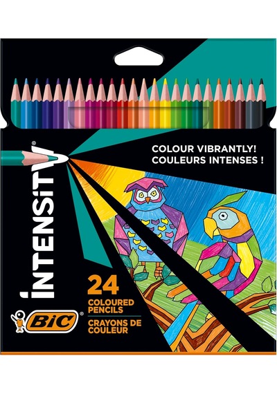 Color Up Üçgen Kuru Boya Kalemi, 24'lü Kutu Çok Renkli