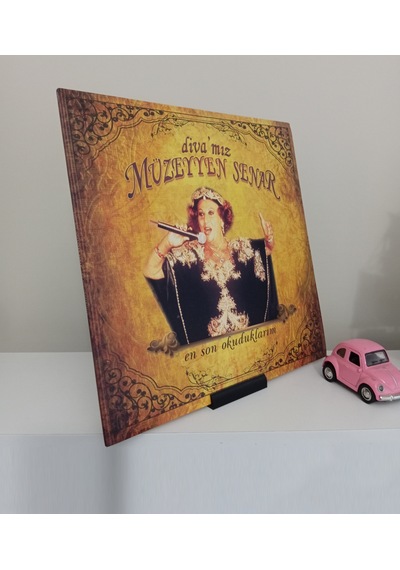 Dekoratif Plak Standı, Vinyl Stand