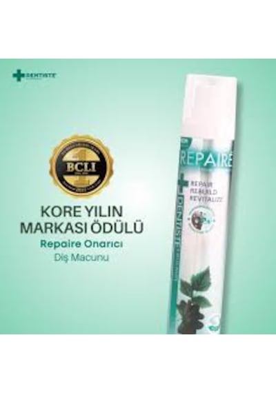 Dentiste Repaire Onarıcı Diş Macunu 70 G