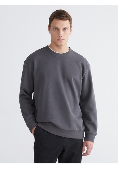 Lcw Vision Antrasit Bisiklet Yaka Erkek Kalın Sweatshirt