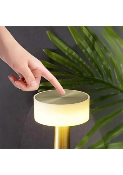 Dekoratif Led Masa Lambası Diğer 88615719