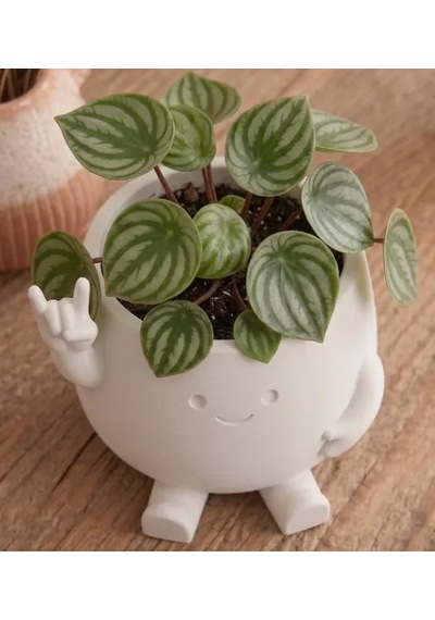 3d Baskı Smiley Face Planter - Gülümseyen Karakterli Saksı-beyaz