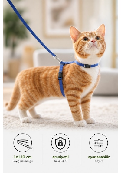 Kiwi Kpcl-10320c Kedi Göğüs Tasması Ve Gezdirme Seti