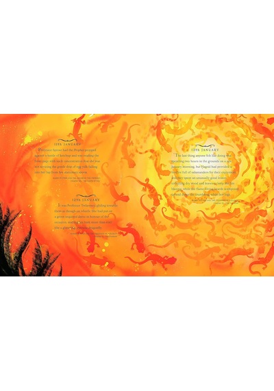 Harry Potter - A Magical Year: The Illustrations Of Jim Kay