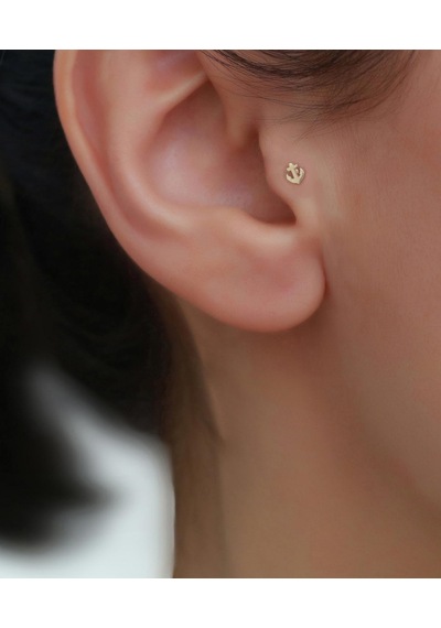 14 Ayar Altın Taşsız Denizci Tragus Piercing Sarı Altın