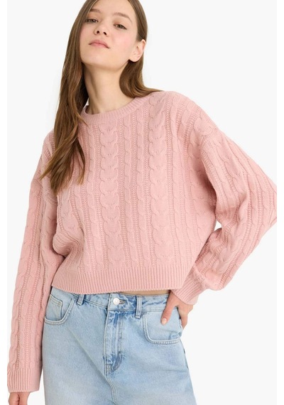 Defacto Coool Regular Fit Bisiklet Yaka Triko Kazak T4518az25wnpn83 Pembe