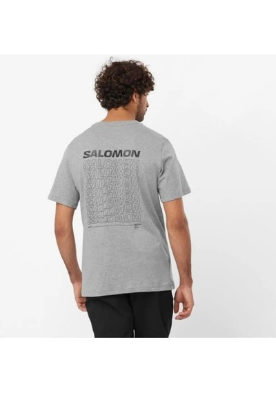 Salomon Lc2219600 Graphic Perf Ss Erkek Spor Tişört 001