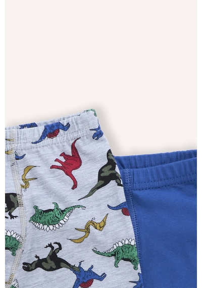 Panço Erkek Çocuk Dinozor Desenli 3'lü Boxer Renkli