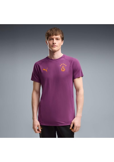 Puma Galatasaray Evostrıpe Erkek Dar Kesim Tişört 786825 21 Mor