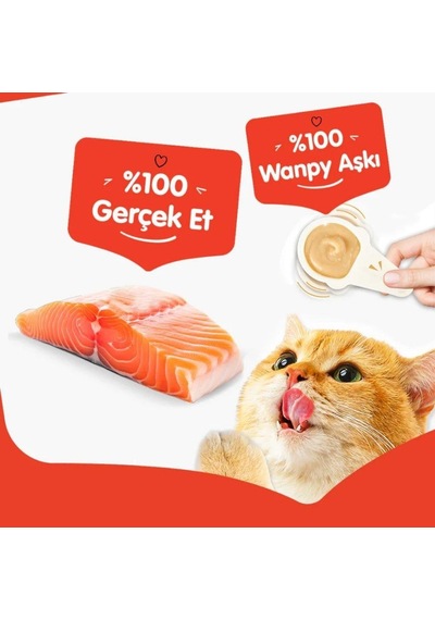 Wanpy Somonlu Kaşık Krema Kedi Ödül Maması 10x16 Gr