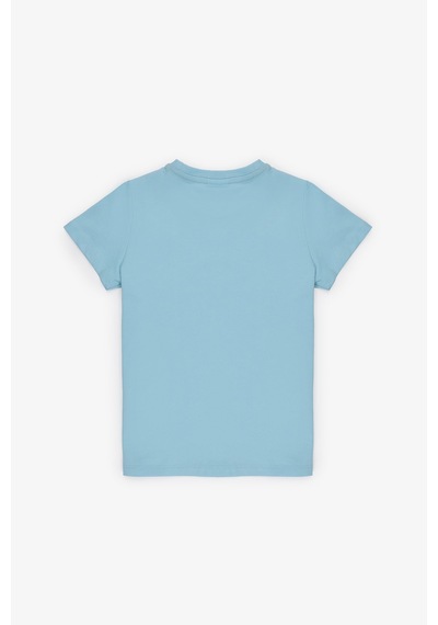 U.S. Polo Assn. Erkek Çocuk Aqua Tişört Basic 50325556-vr007