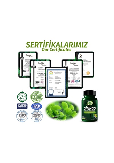 Gökçek Şifa 1000 MG Ginkgo (Ginkgo Biloba Capsule ) 60 Kapsül