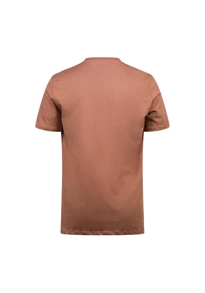2as Alex Baskılı Erkek Sıfır Yaka T-shirt 035 Kahve