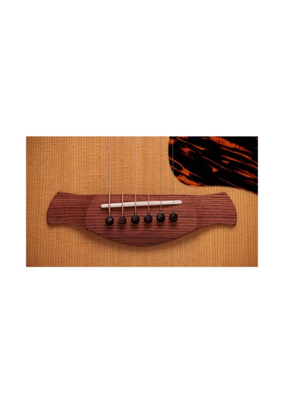 Taylor Gold Label 717e Elektro Akustik Gitar 104051399943