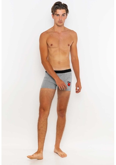 Redowl Baykuş Baskılı Gri 2'Li Boxer Gri