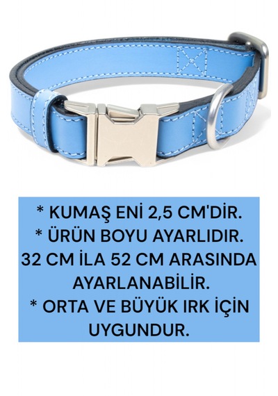 Hakiki Deri Köpek Boyun Tasması, Kişiye Özel Künyeli Lux Seri Mv Mavi