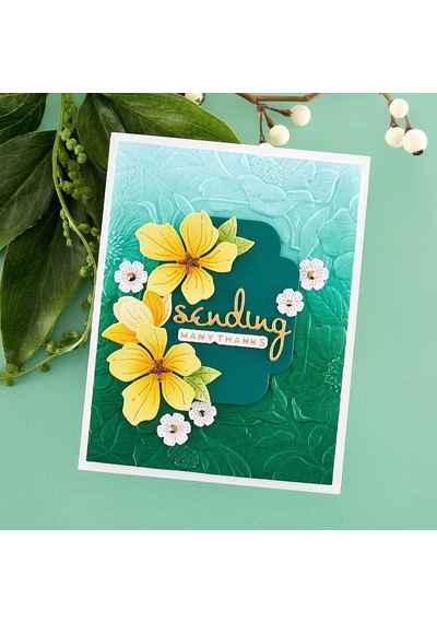 Spellbinders Dört Yapraklı Çiçekli 3d Kabartma Klasörü, Şeffaf Çok Renkli
