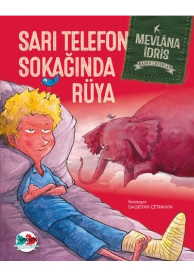Sarı Telefon Sokağında Rüya-Başka Çocuklar - Dağıstan Çetinkaya - Vakvak Yayınları
