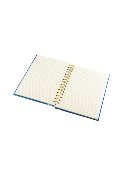 Studi Eğlenceli Defter - Dinozor Figürlü