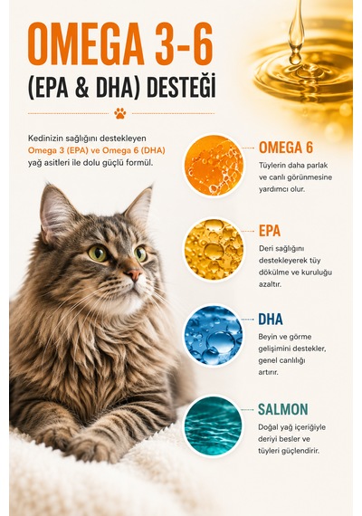 Pawvitapet Kediler Için Omega 3-6 Balık Yağı Tüy Ve Deri Bakımı Epa Dha Destekli 200 ML